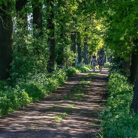 Kelders * Langenboom